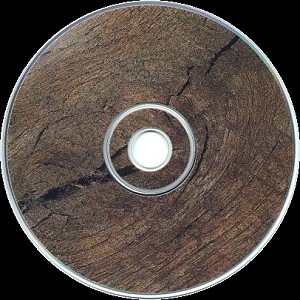The disc